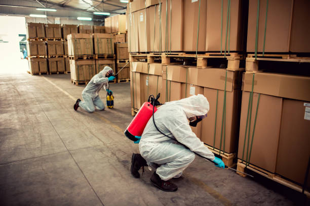 Best Affordable Pest Control Services  in Ferrysburg, MI