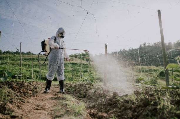 Best Mosquito Control Services  in Ferrysburg, MI