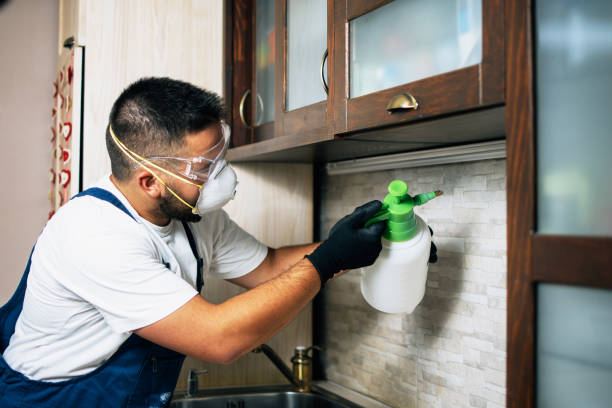 Best Flea Control Services  in Ferrysburg, MI