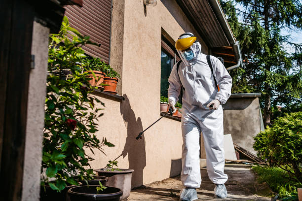 Best Wasp Removal Services  in Ferrysburg, MI