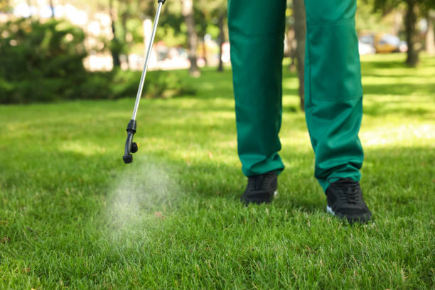 Best Pest Removal Services  in Ferrysburg, MI