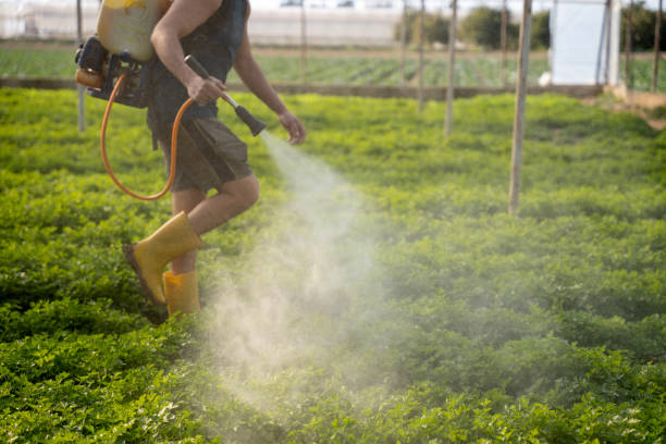 Best Ant Control Services  in Ferrysburg, MI