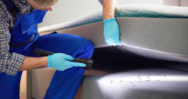 Pest Prevention Services in Ferrysburg, MI