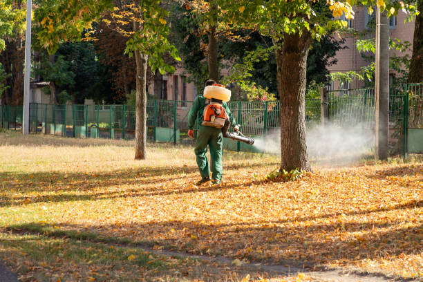 Best Rodent Control Near Me  in Ferrysburg, MI