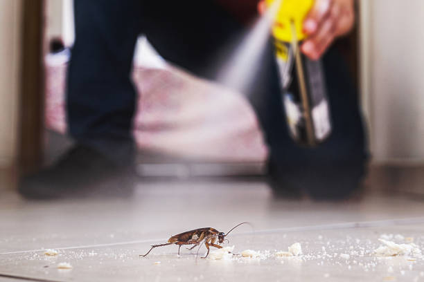 Best Mosquito Control Services  in Ferrysburg, MI