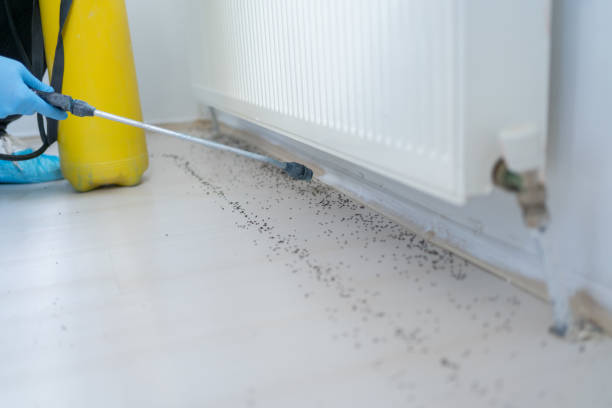 Best Pest Control Near Me in Ferrysburg, MI