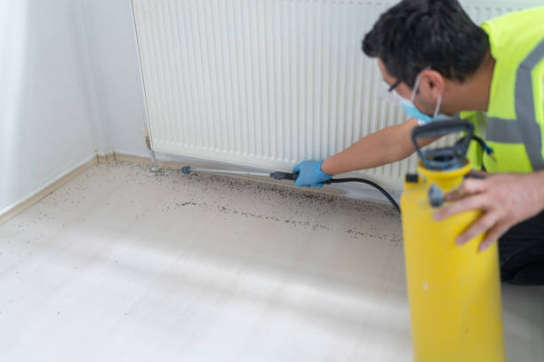 Flea Control Services in Ferrysburg, MI