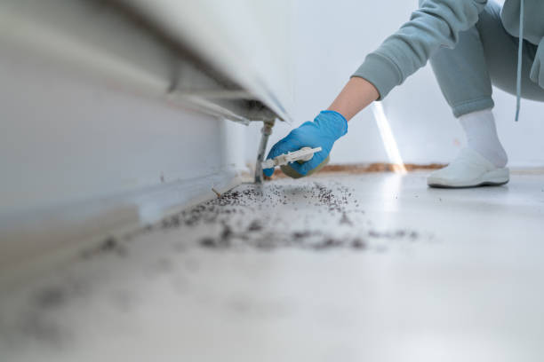 Best Residential Pest Control  in Ferrysburg, MI