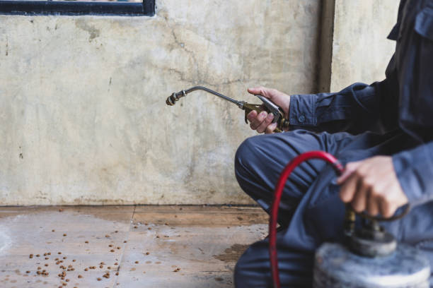 Best Pest Inspection Near Me  in Ferrysburg, MI