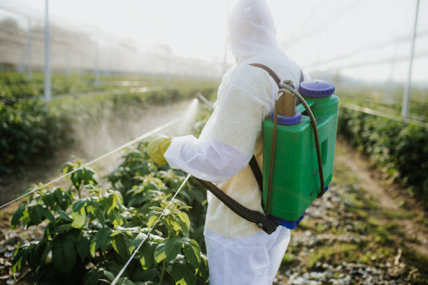 Best Bed Bug Extermination  in Ferrysburg, MI